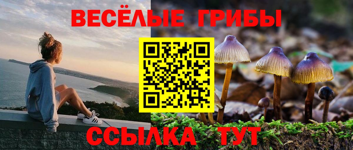 Михайловка  Галлюциногенные грибы Psilocybe  Вход с VPN 